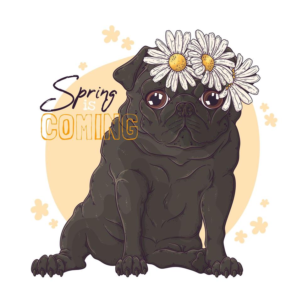 Hand drawn portrait of the pug dog with flowers Vector. vector