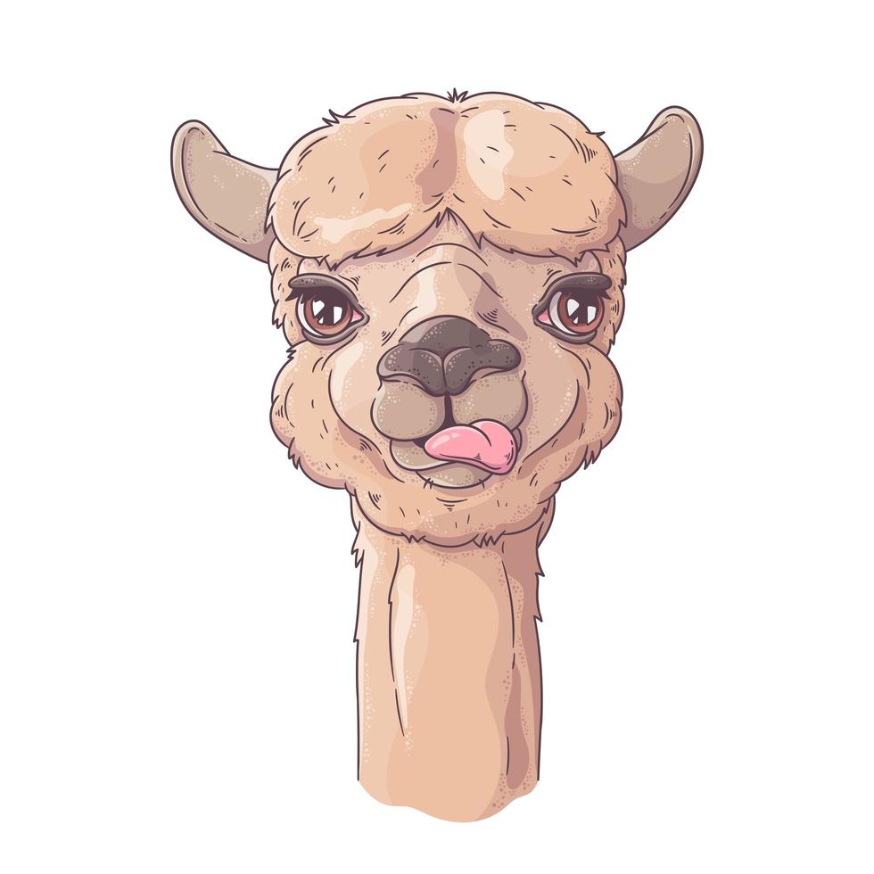 Hand drawn portrait of cute alpaca Vector. vector