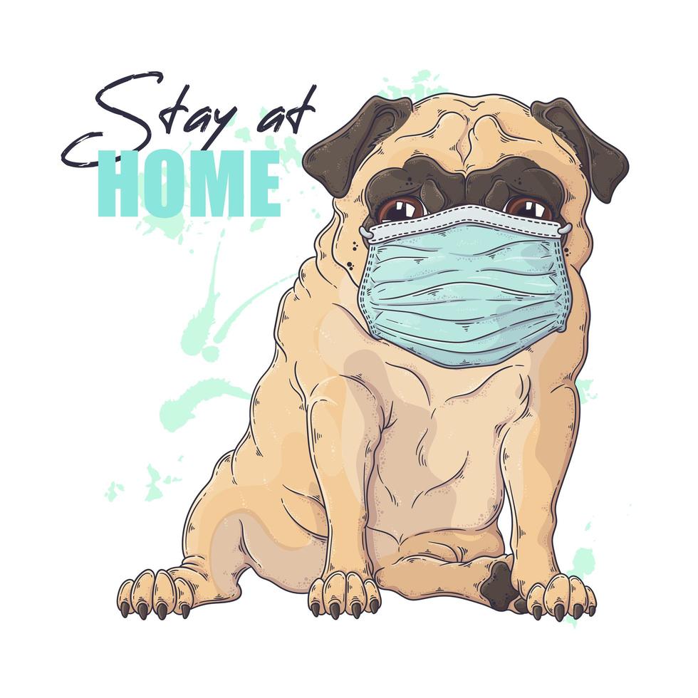 Hand drawn portrait of the pug dog in a medical mask Vector. vector