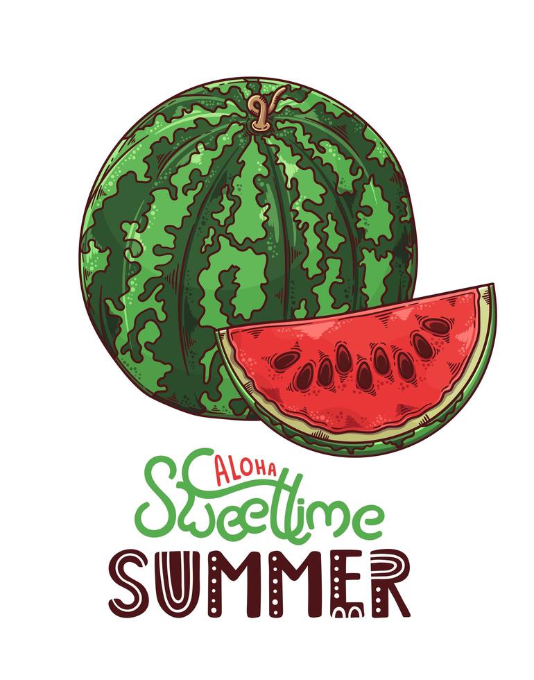 Vector hand drawn watermelon. Lettering aloha sweet time summer.