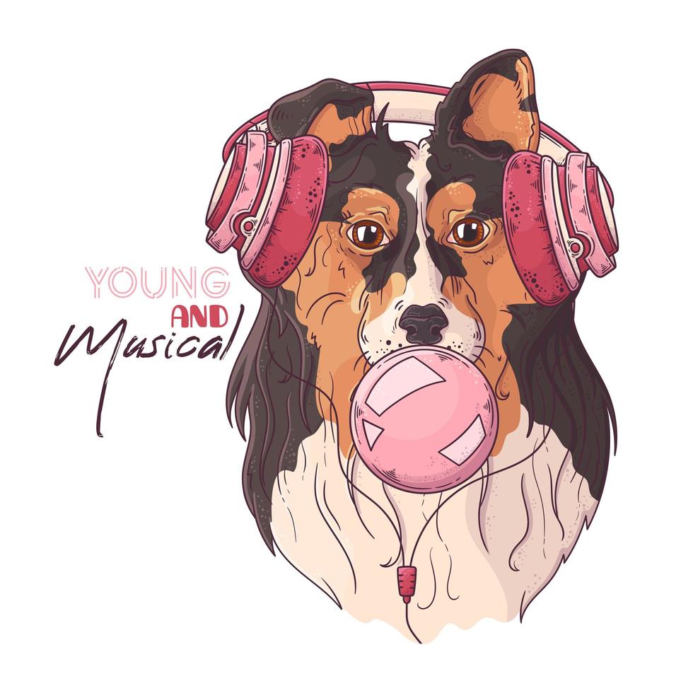 Hand drawn portrait of collie dog in accessories Vector. vector