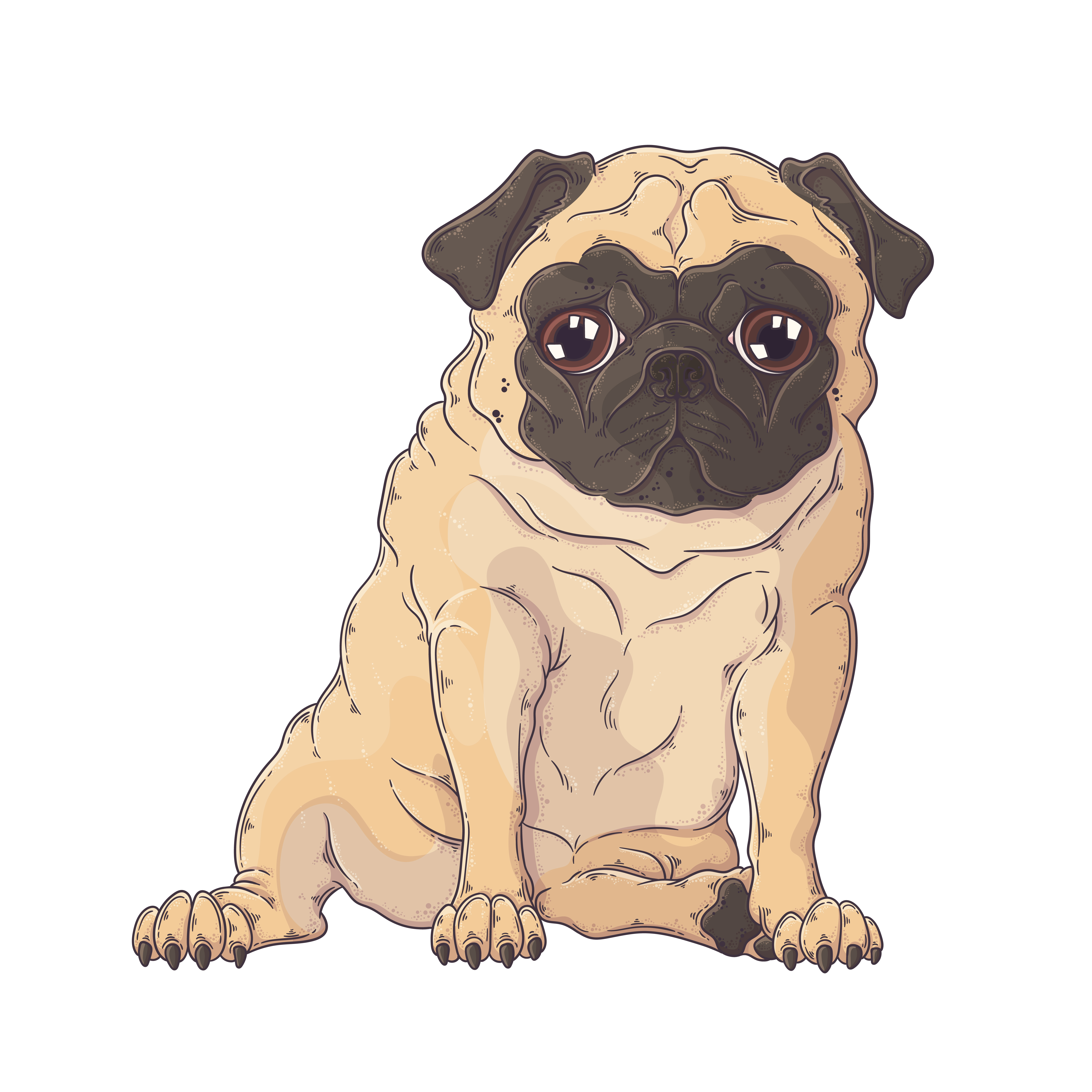 Hand drawn portrait of the funny pug dog Vector. 3727565 Vector Art at Vecteezy Hand drawn portrait of the funny pug dog Vector. 3727565 Vector Art at Vecteezy