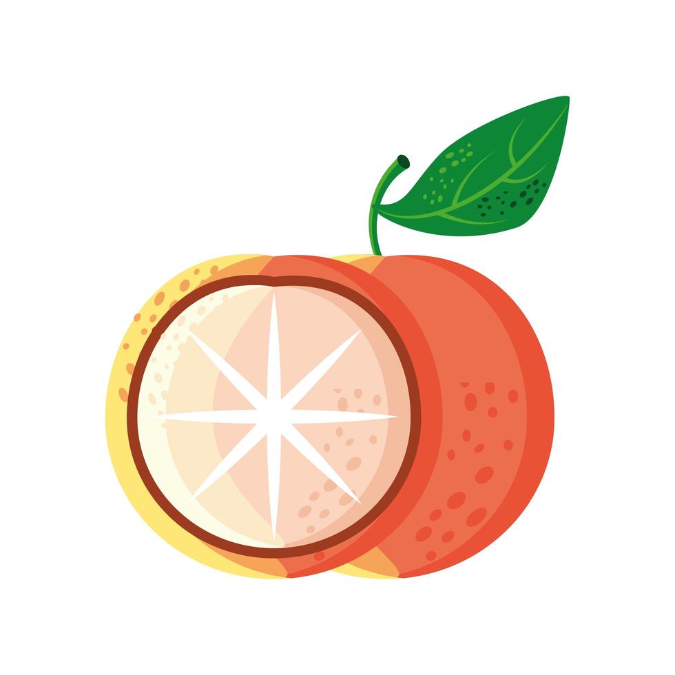 fruta naranja fresca vector