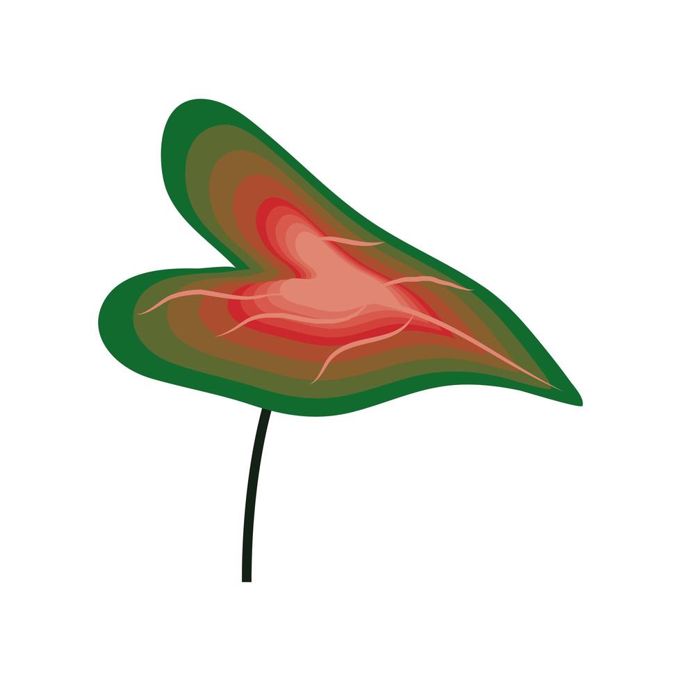 exotic leaf plant vector