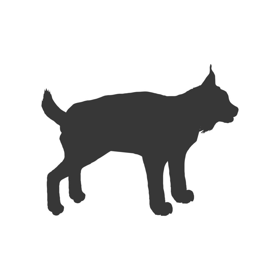 lynx animal silhouette vector