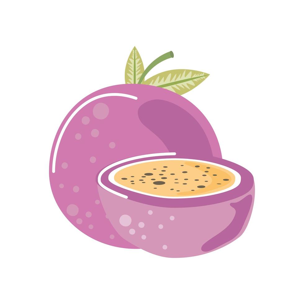 icono de naturaleza fresca de fruta de la pasión estilo aislado vector