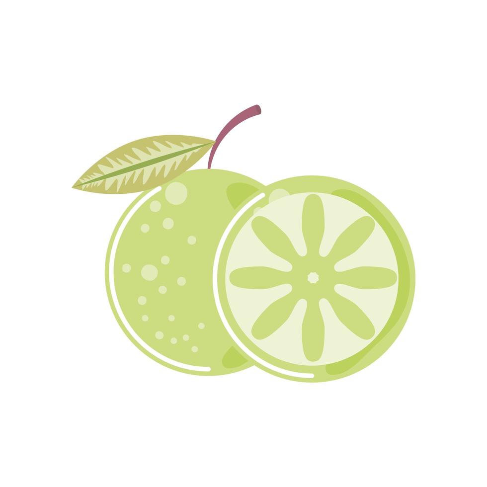 icono de fruta fresca de limón entero y rebanada estilo aislado vector