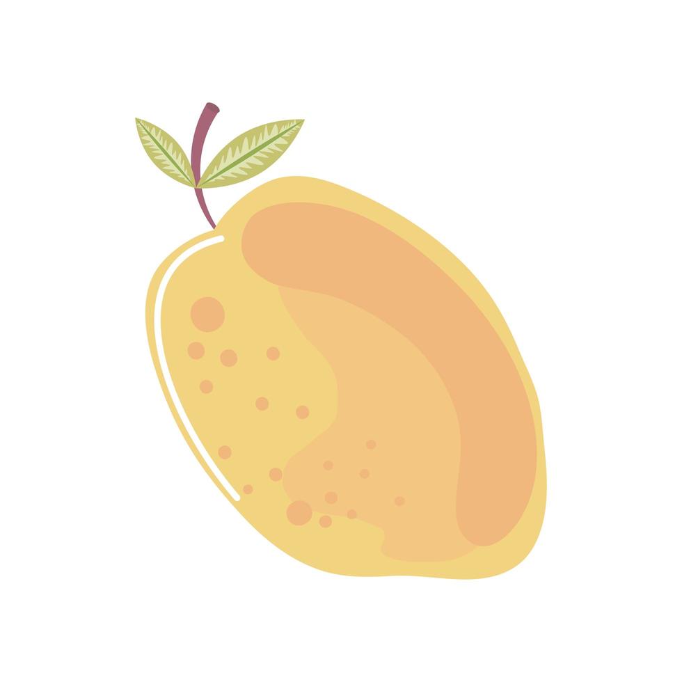 mango fresh fruit icon isolated style vector