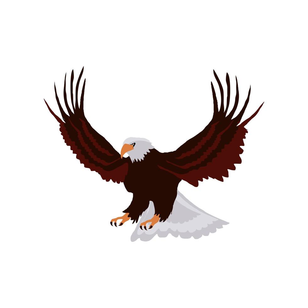 pájaro águila calva vector