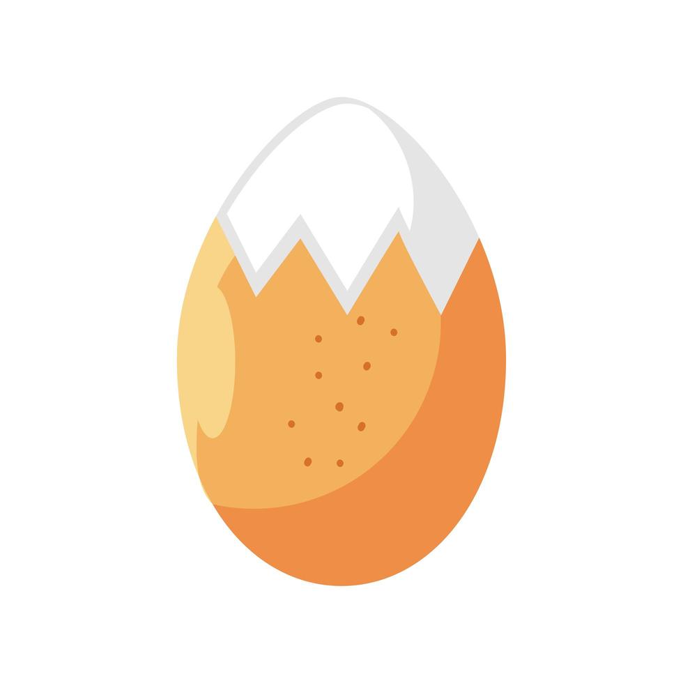 boiled egg fresh vector