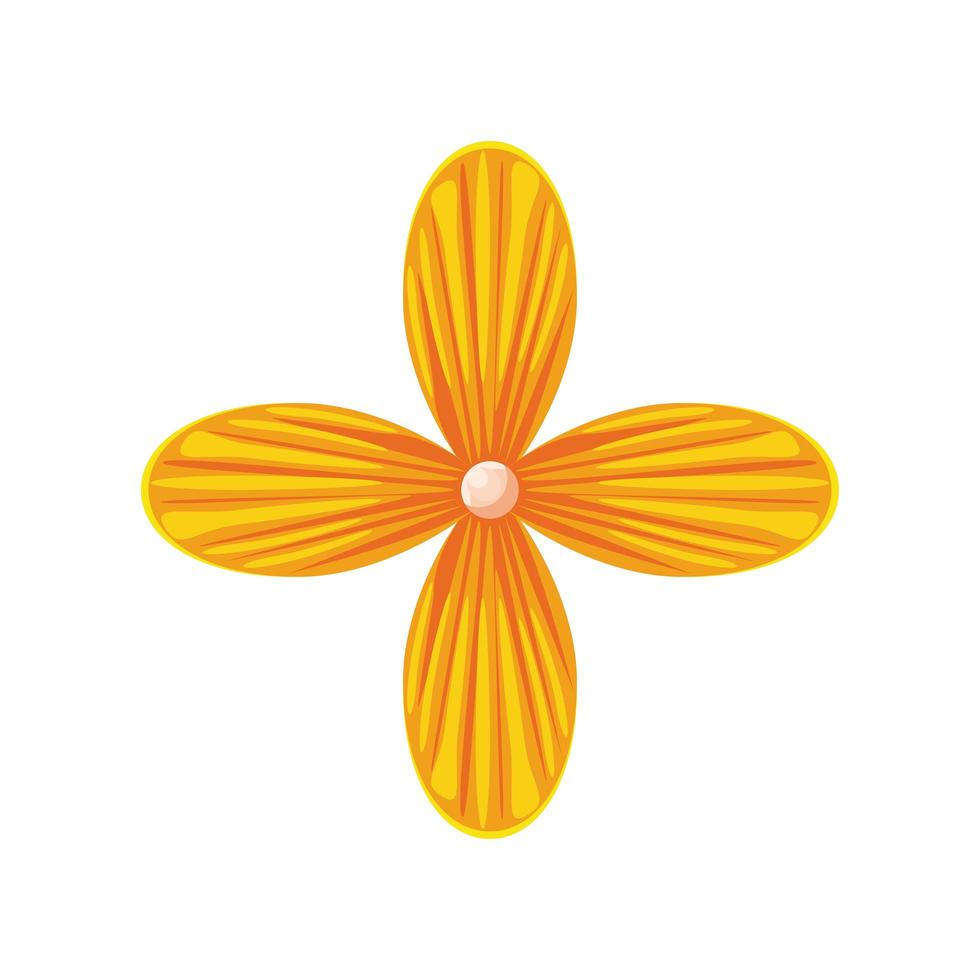 yellow flower isolated vector