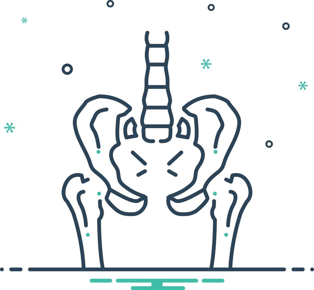 Mix icon for pelvic vector
