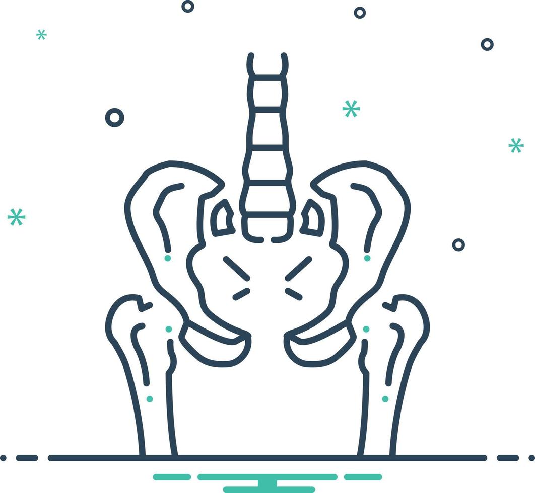 icono de mezcla para pelvis vector