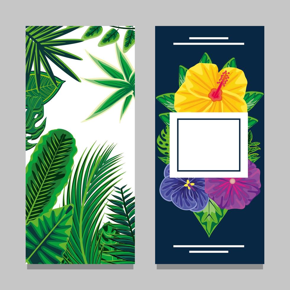 tropical banner layout vector