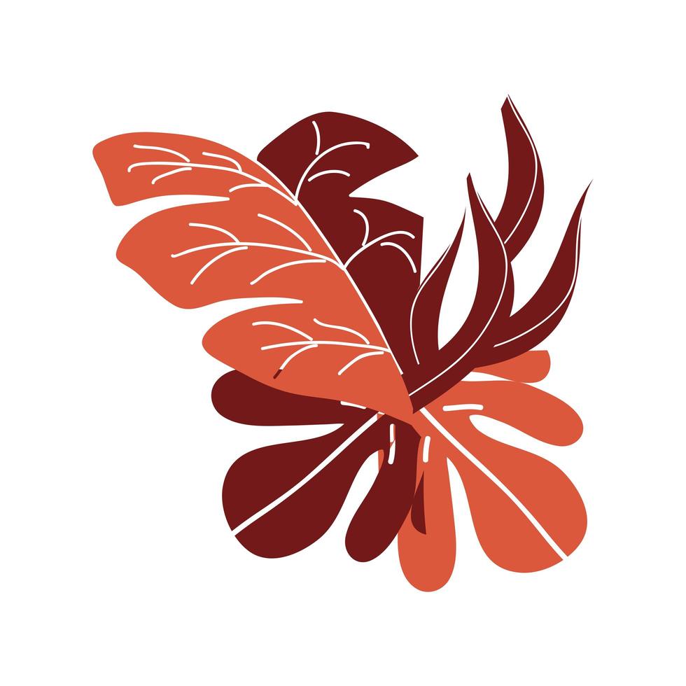 tropical leaves foliage vector