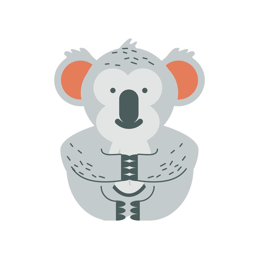 koala tropical animal vector
