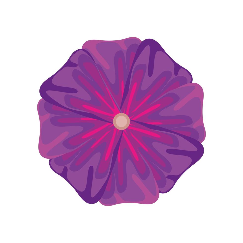 purple flower nature 3729860 Vector Art at Vecteezy