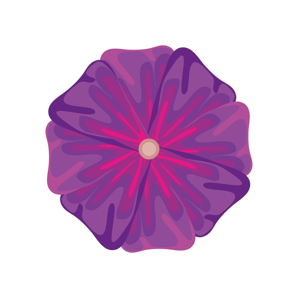 naturaleza flor morada vector