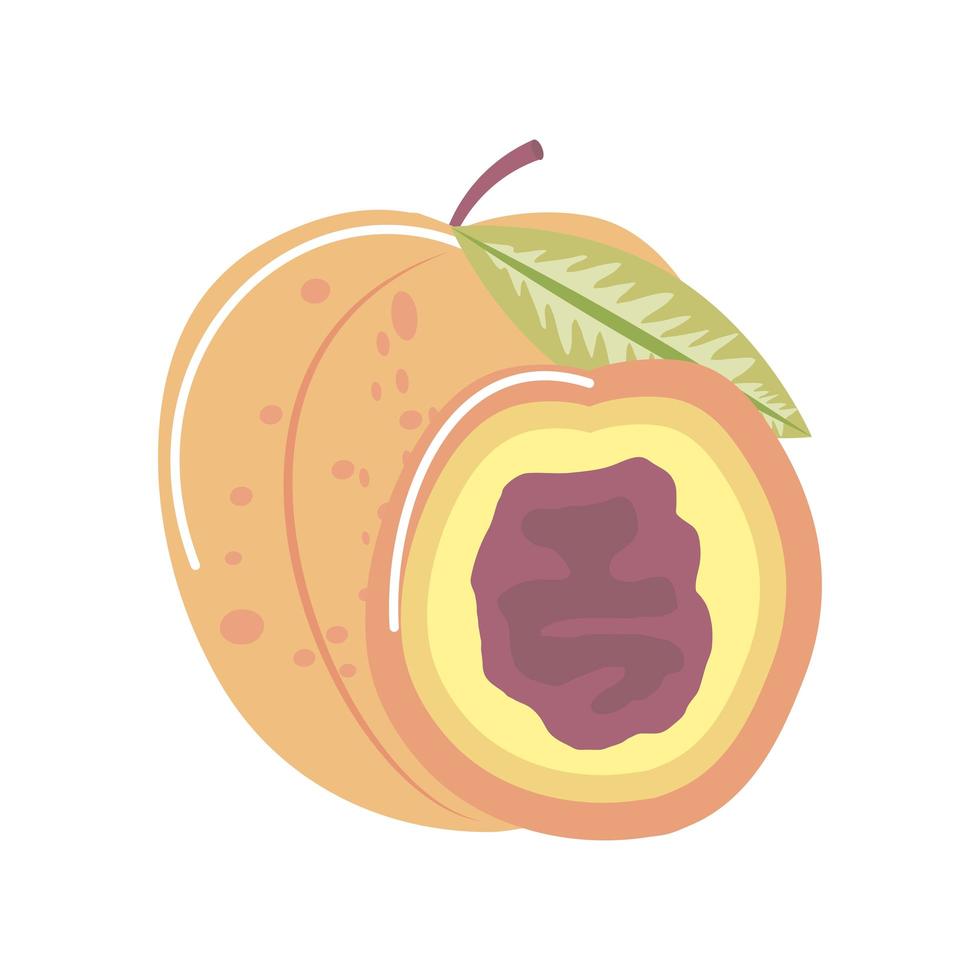 peach fresh fruit icon isolated style vector