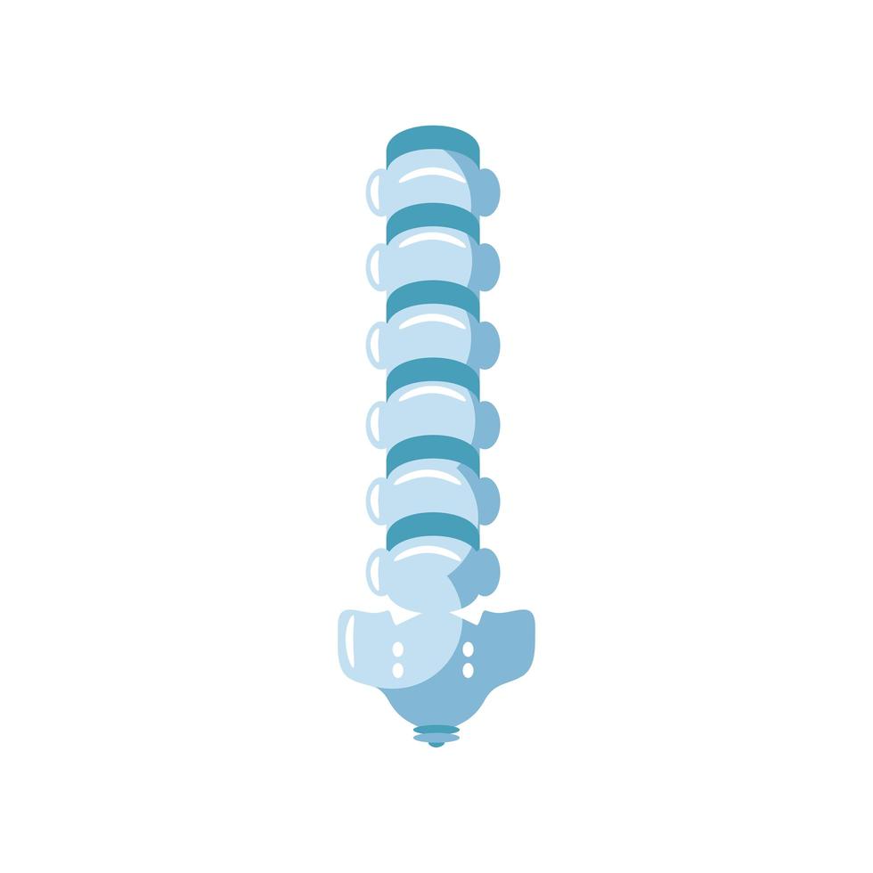 human spine anatomy vector