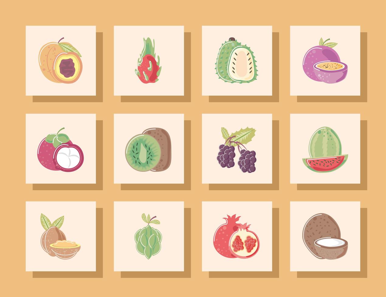 fruits fresh tropical exotic icons peach soursop mangosteen kiwi watermelon vector