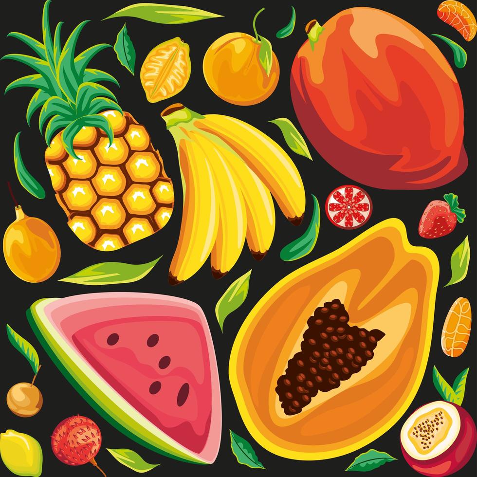 tropical fruits background vector