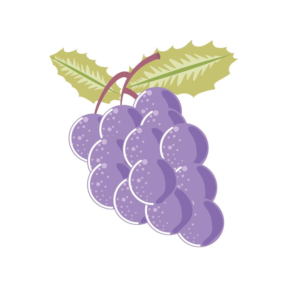 icono de fruta fresca de uvas estilo aislado vector