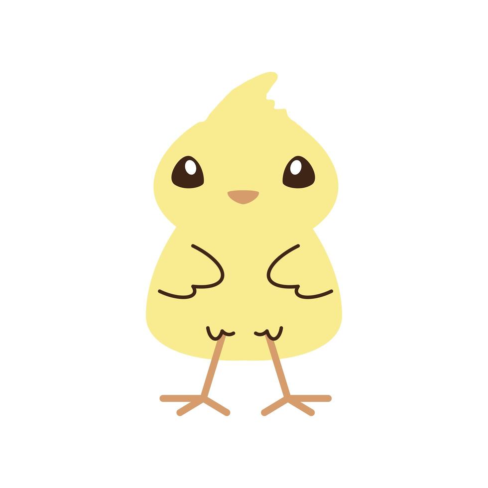 cute little chicken bird cartoon isolated style vector