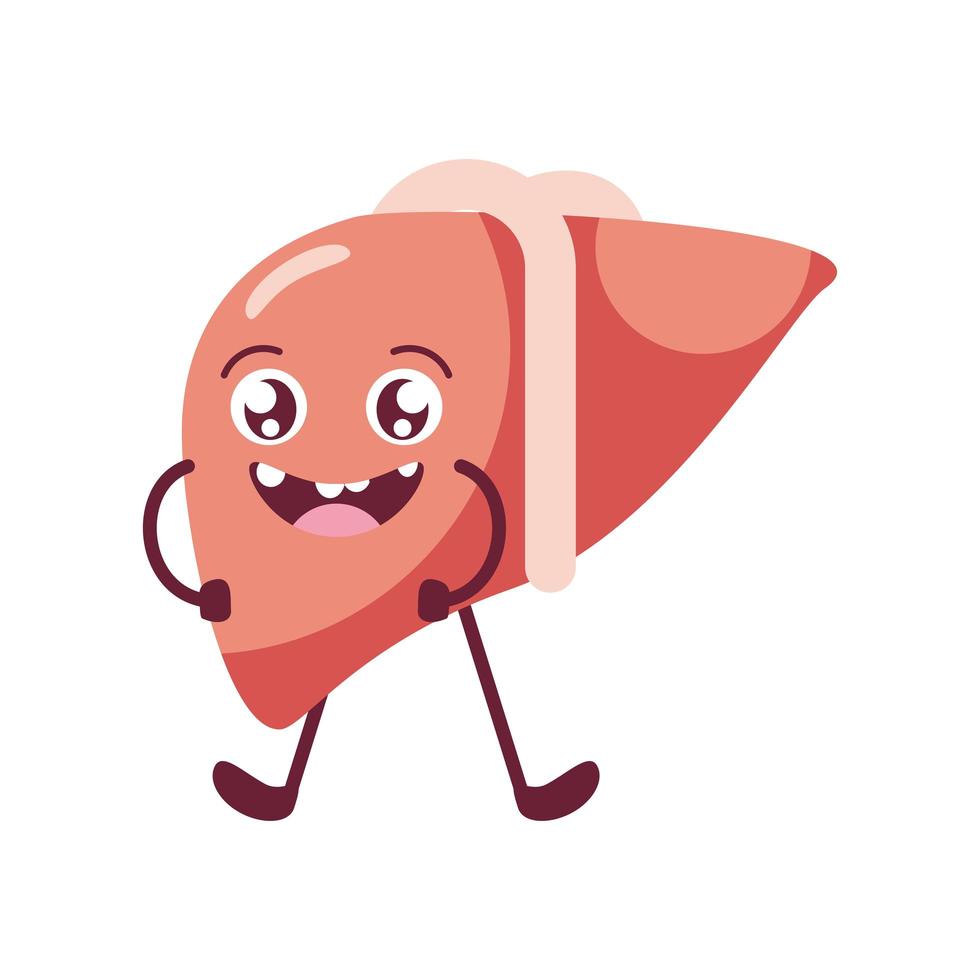 cute liver organ vector