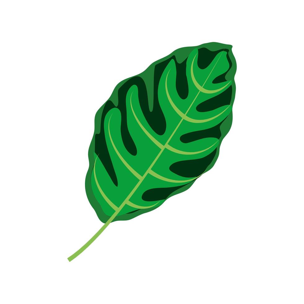 hoja verde tropical vector