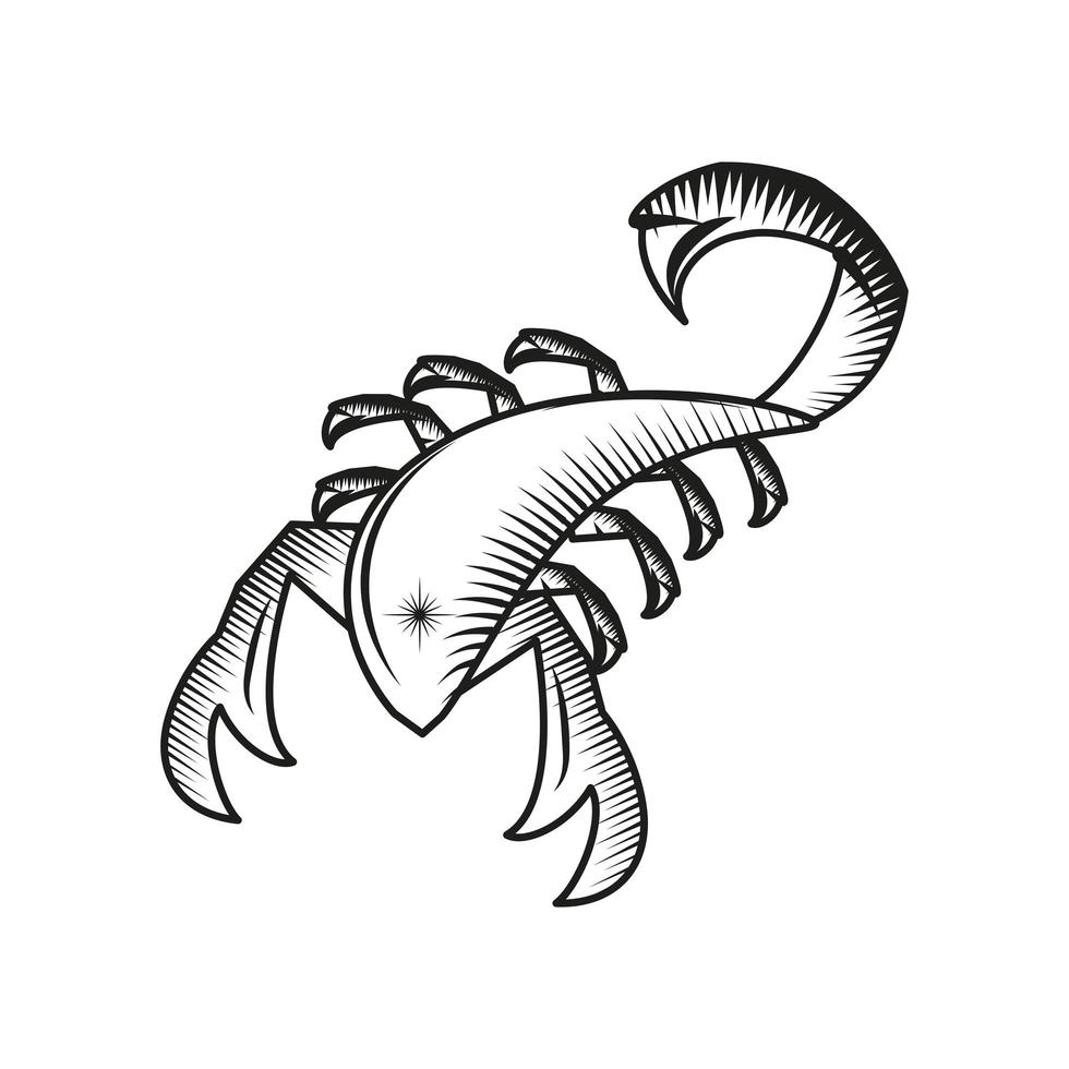 scorpio horoscope astrology vector