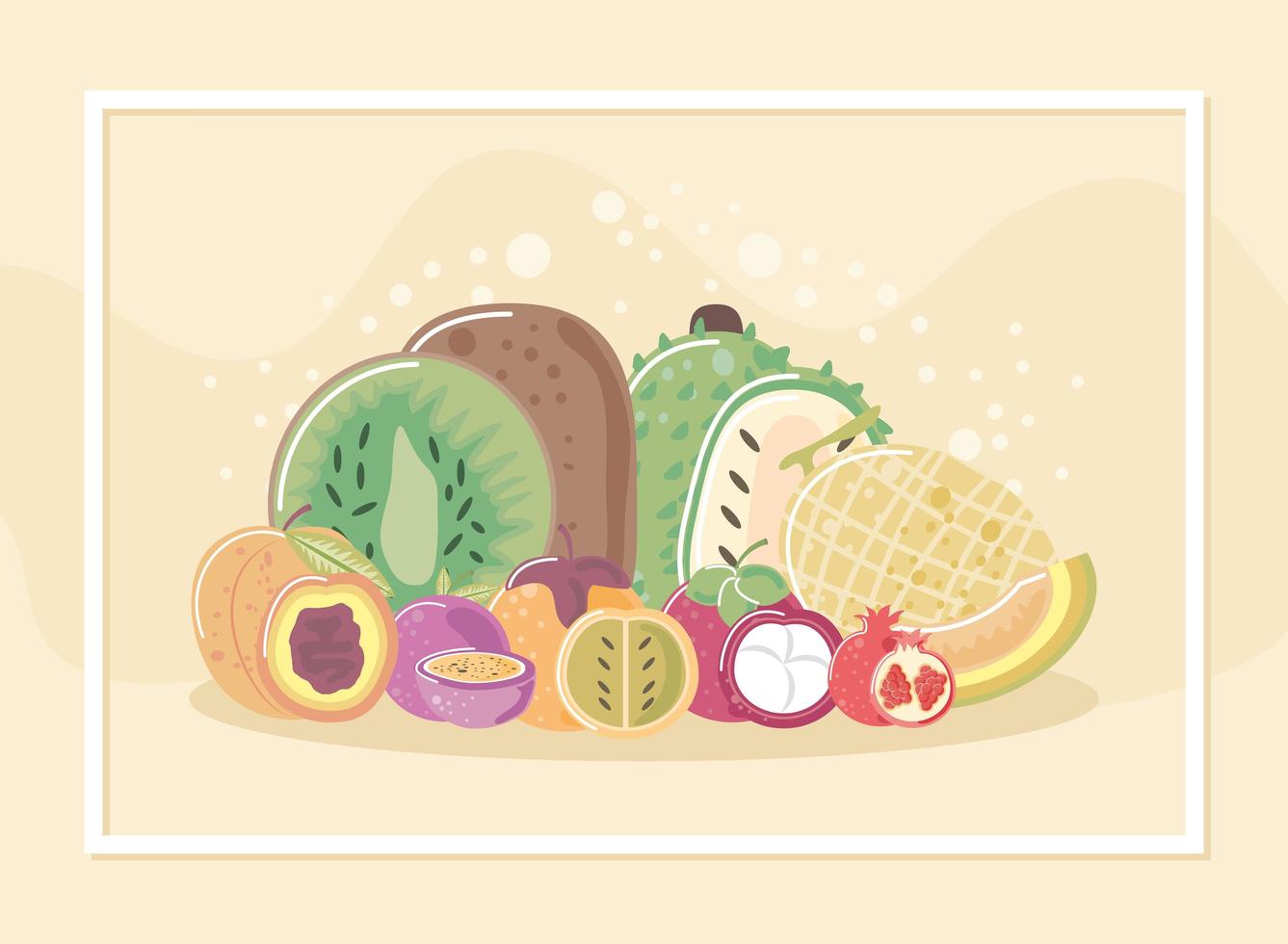 tropical exotic fresh fruits such as kiwi peach melon vector