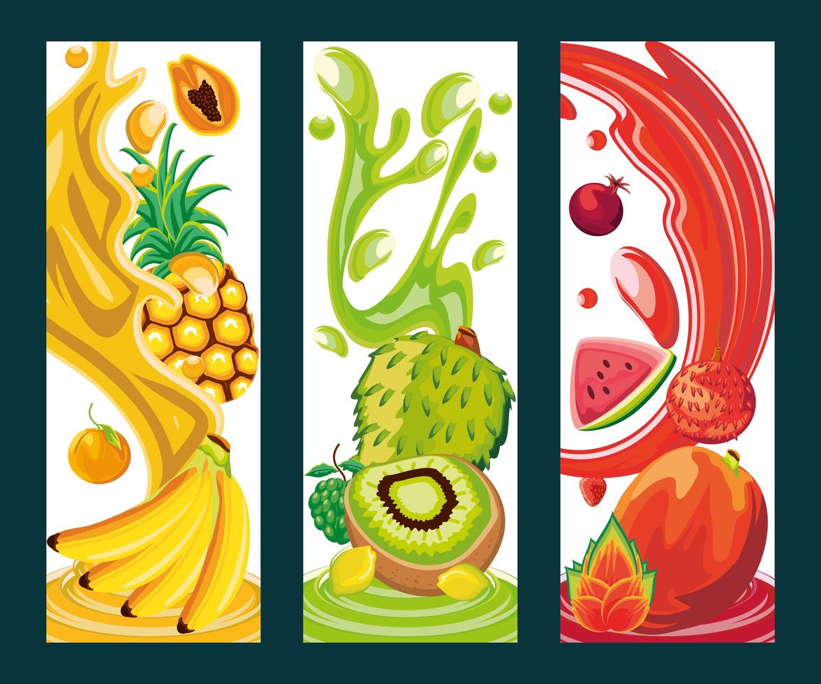 tropical fruits banner vector