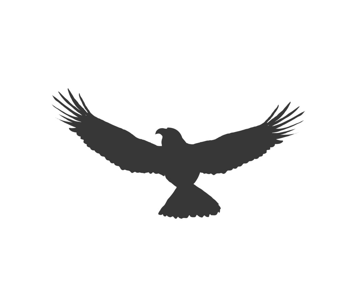 flying eagle animal silhouette vector