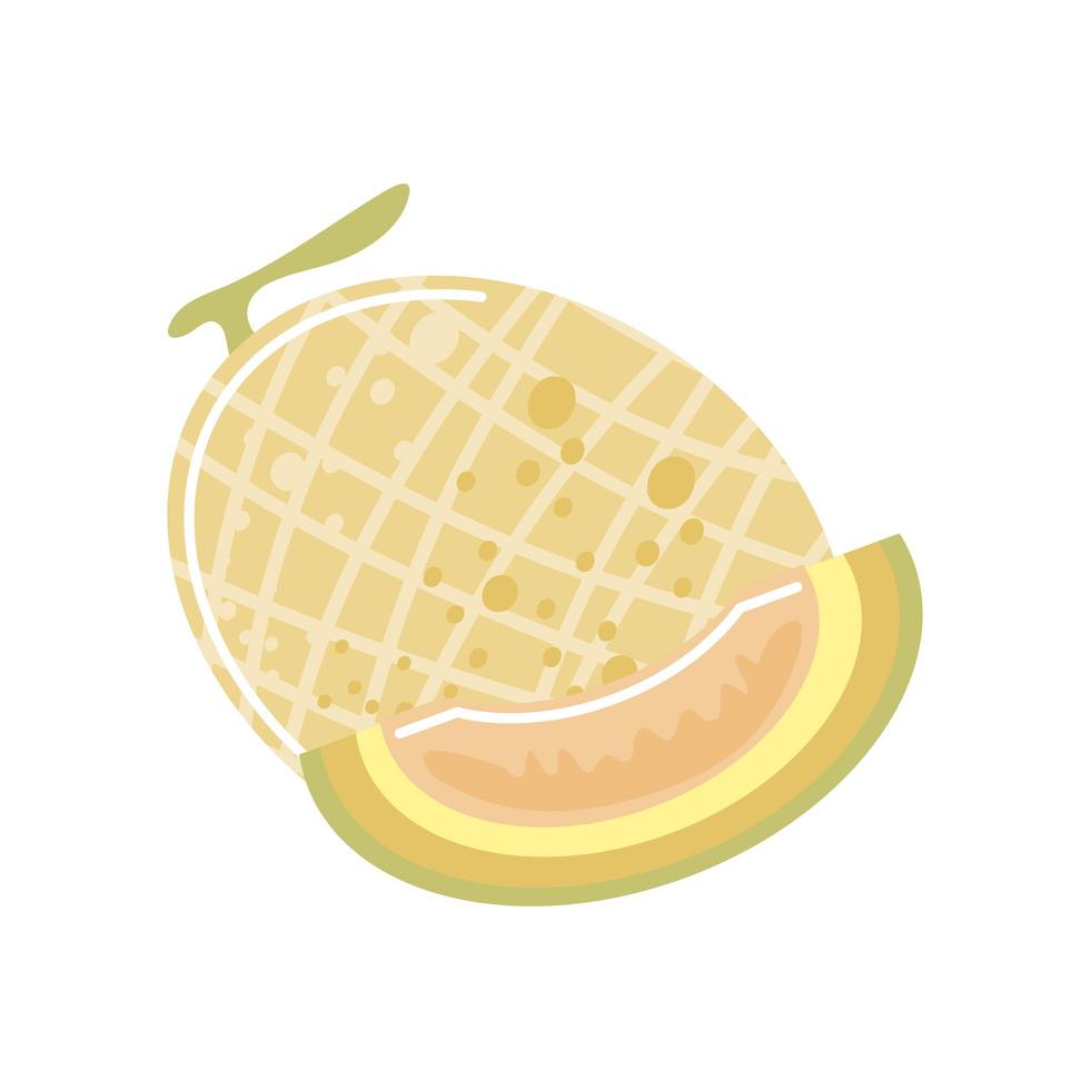 melon fresh fruit icon isolated style vector