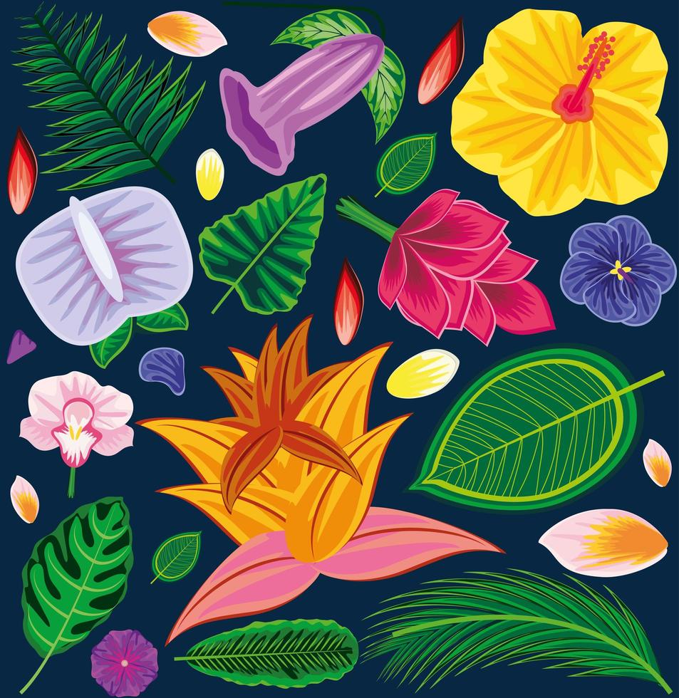 background tropical motif vector