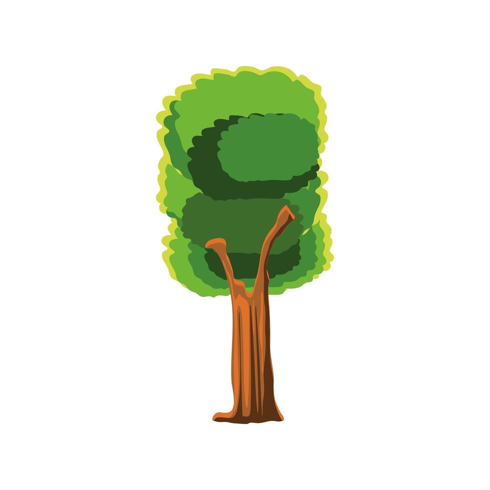 lush tree greenery vector