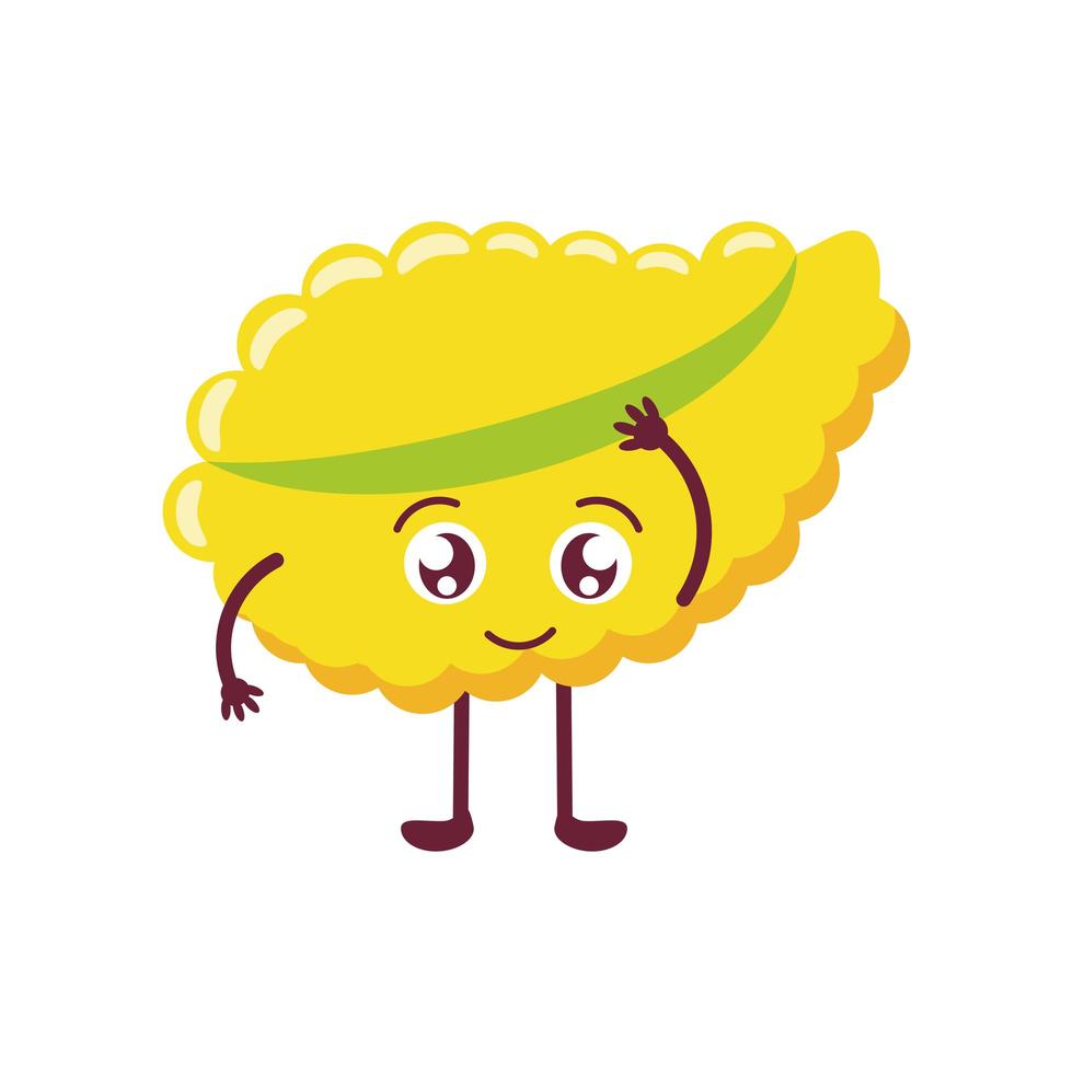 cute human pancreas vector