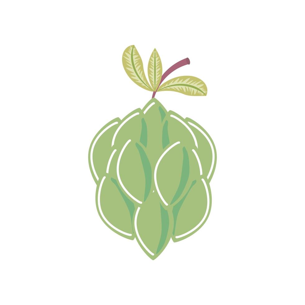 custard apple fresh fruit icon isolated style vector