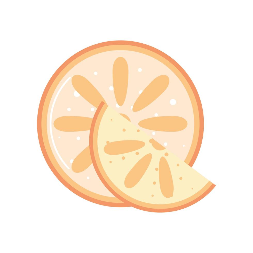 whole slice orange vector