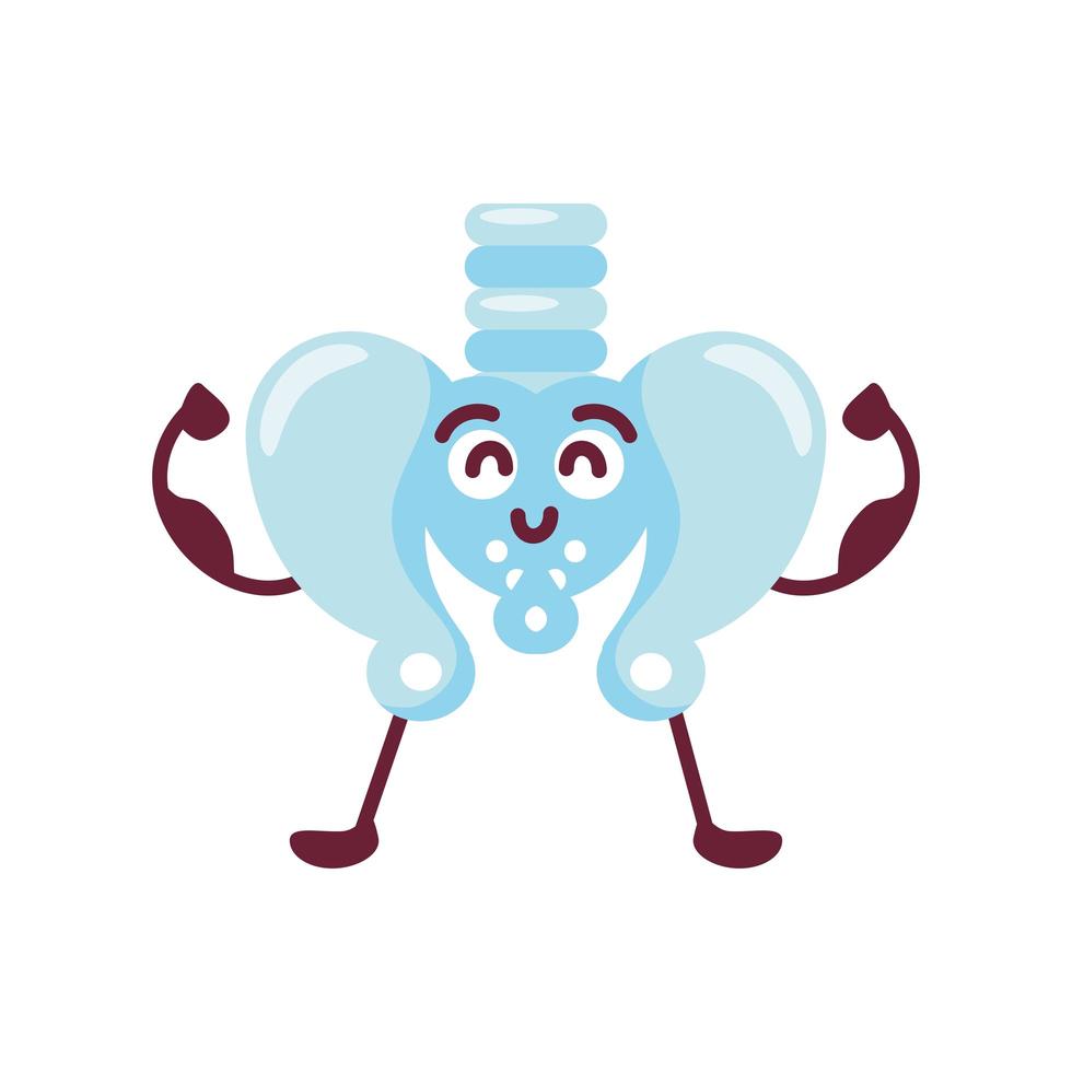 cute human pelvis vector