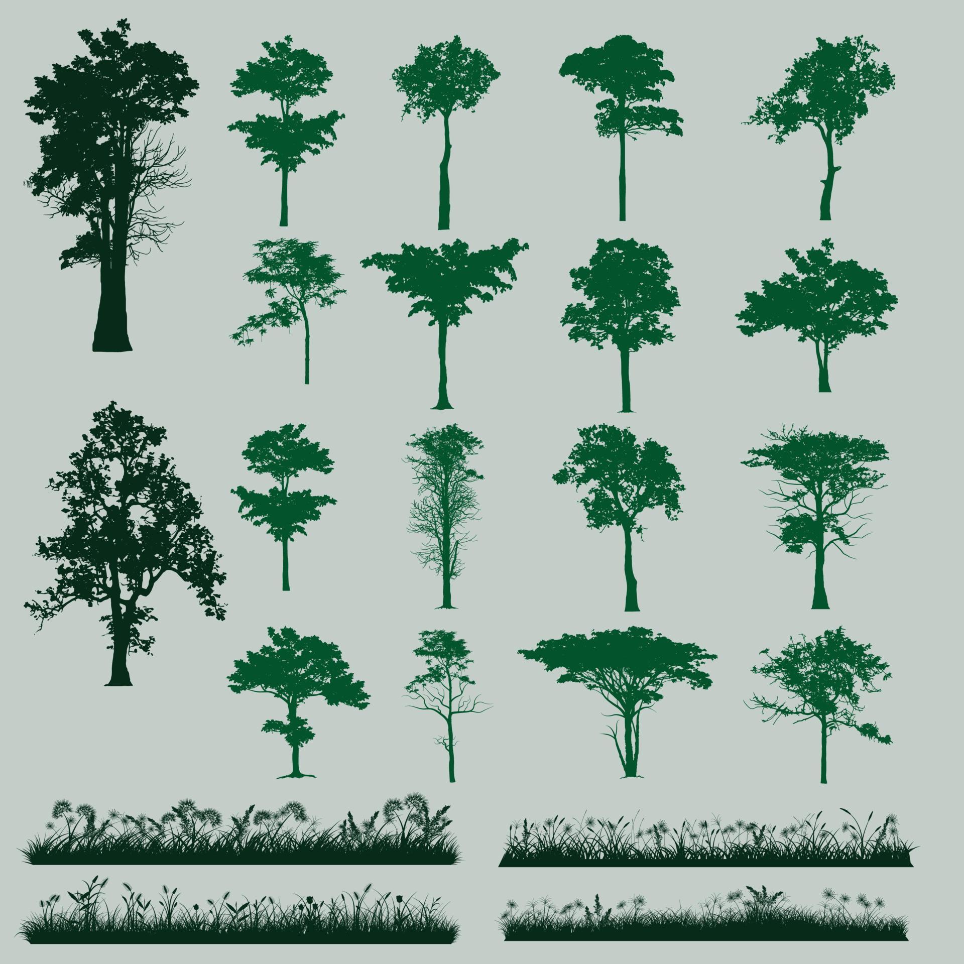 trees and grass silhouette 3731453 Vector Art at Vecteezy