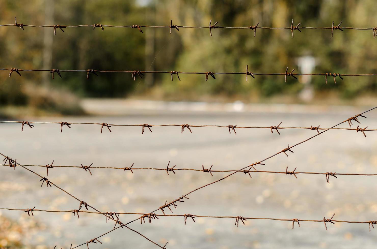 Pripyat, Ukraine, 2021 - Barbed wire fence in Chernobyl photo