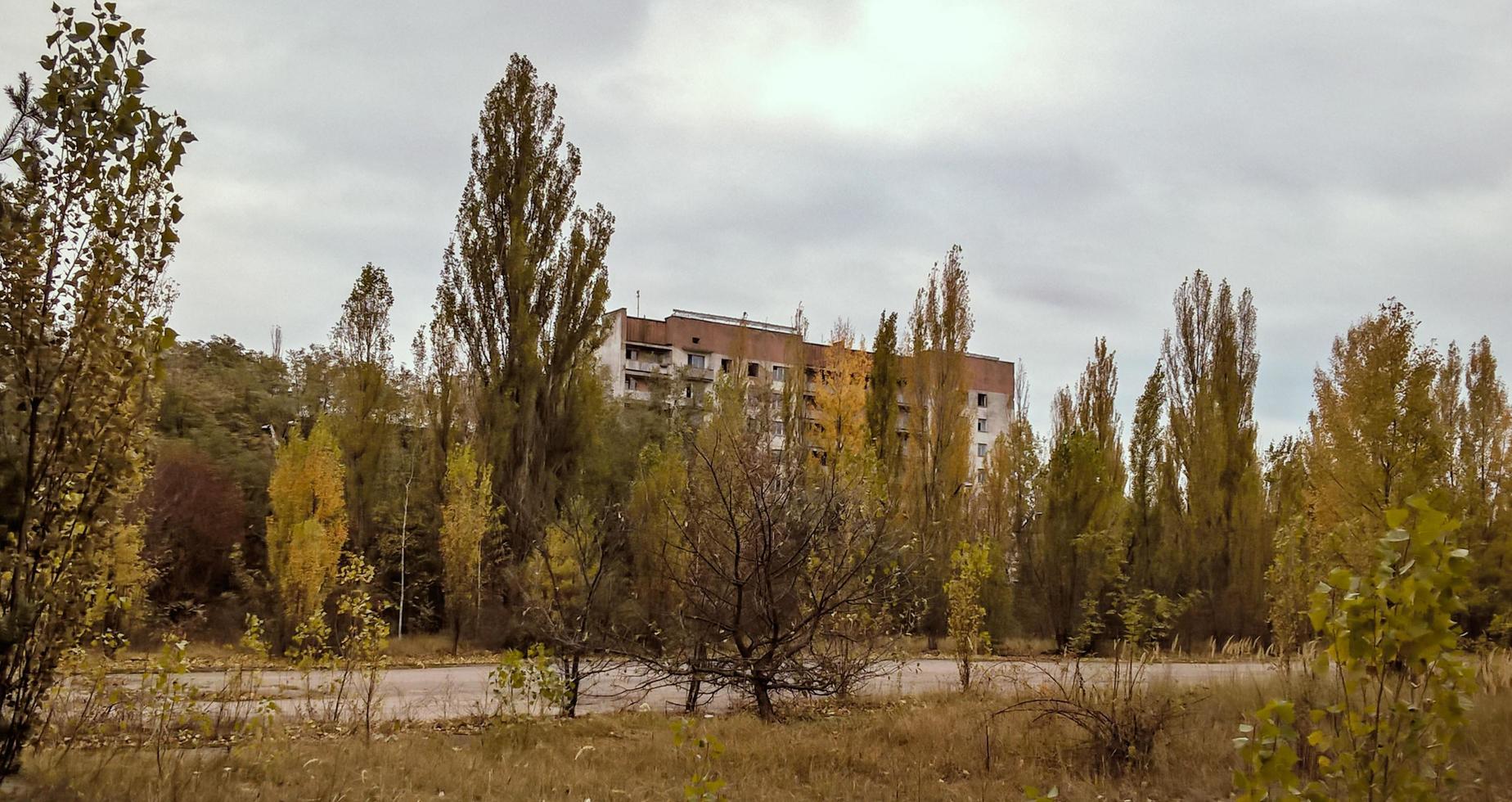 Pripyat, Ucrania, 2021 - casas desiertas vacías entre los árboles en Chernobyl foto