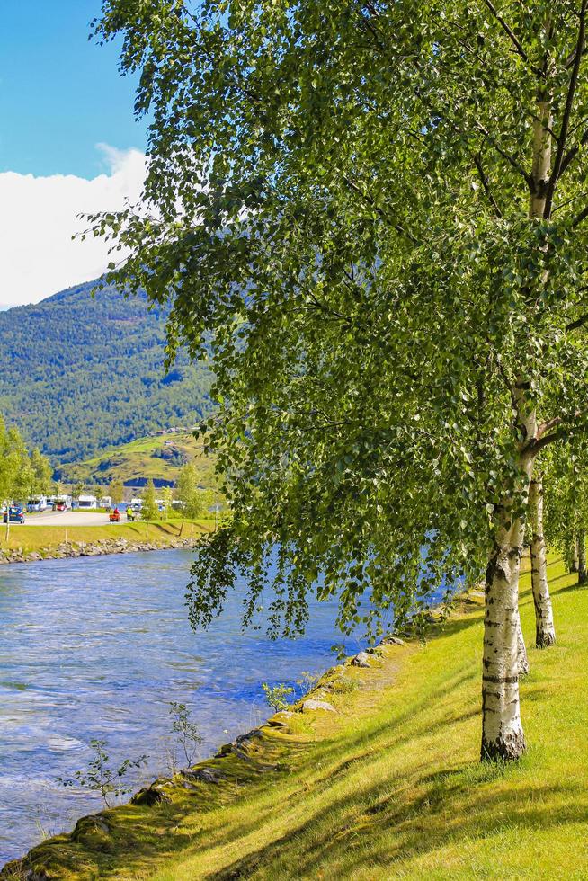 Birch trees and river in beautiful Flam, Aurlandsfjord Sognefjord Norway. photo