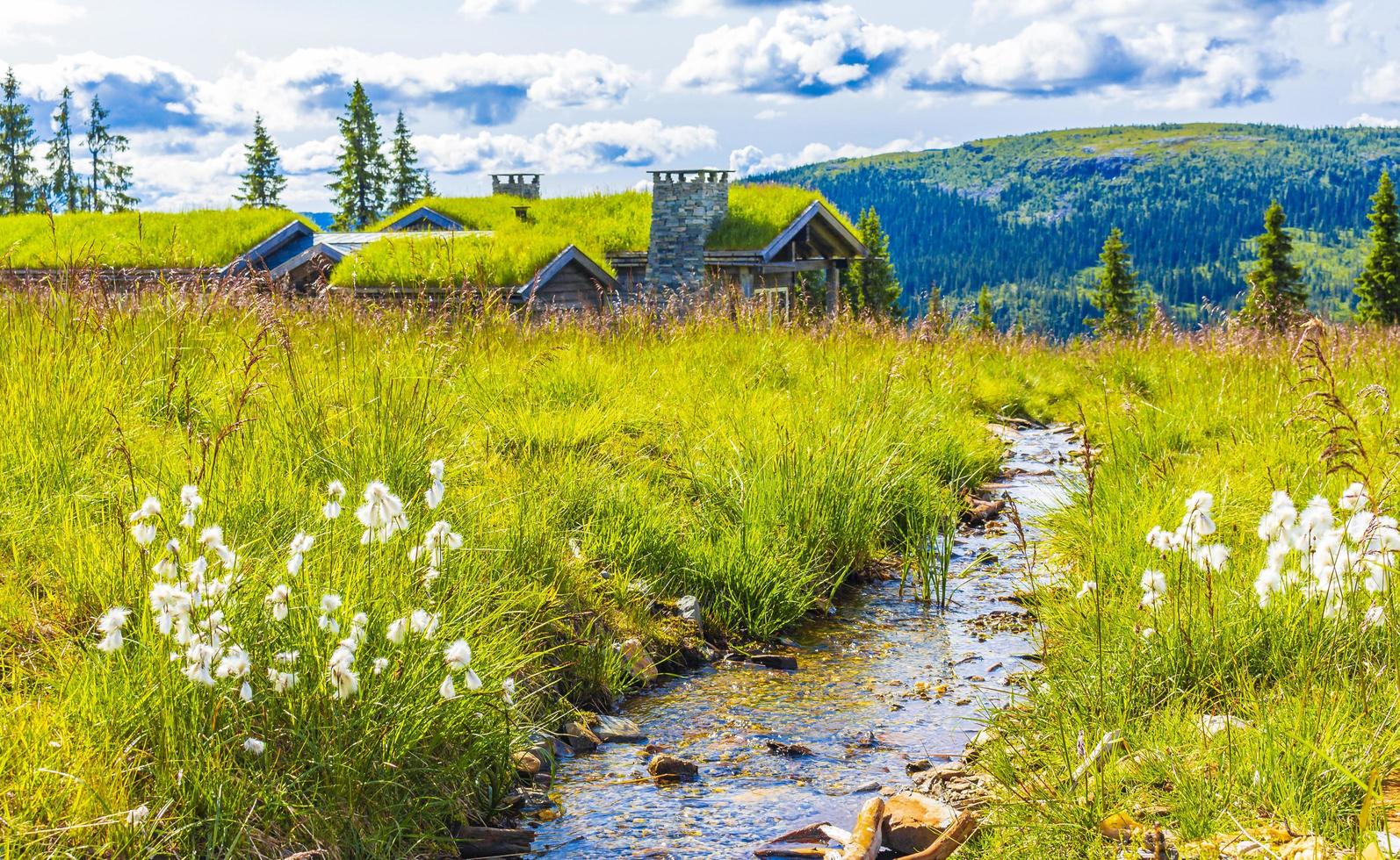 Beautiful panorama river cottages mountains Kvitfjell Ski area Favang Norway. photo