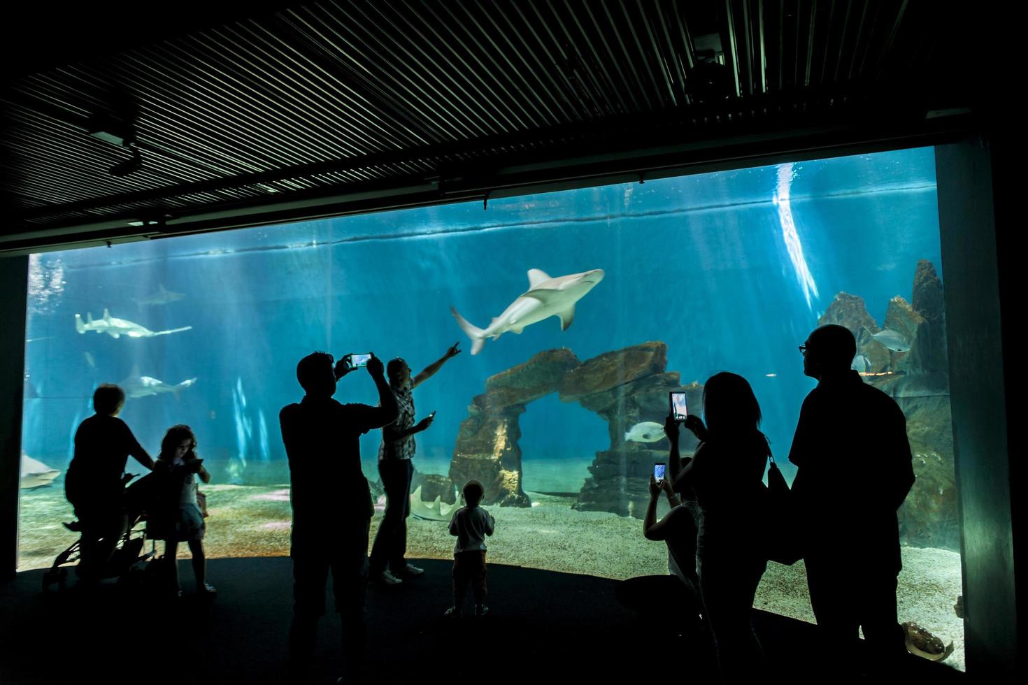 GENOA, ITALY, JUNE 2, 2015 - Unidentified people at Genoa aquarium. The Aquarium of Genoa is the largest aquarium in Italy and among the largest in Europe. photo