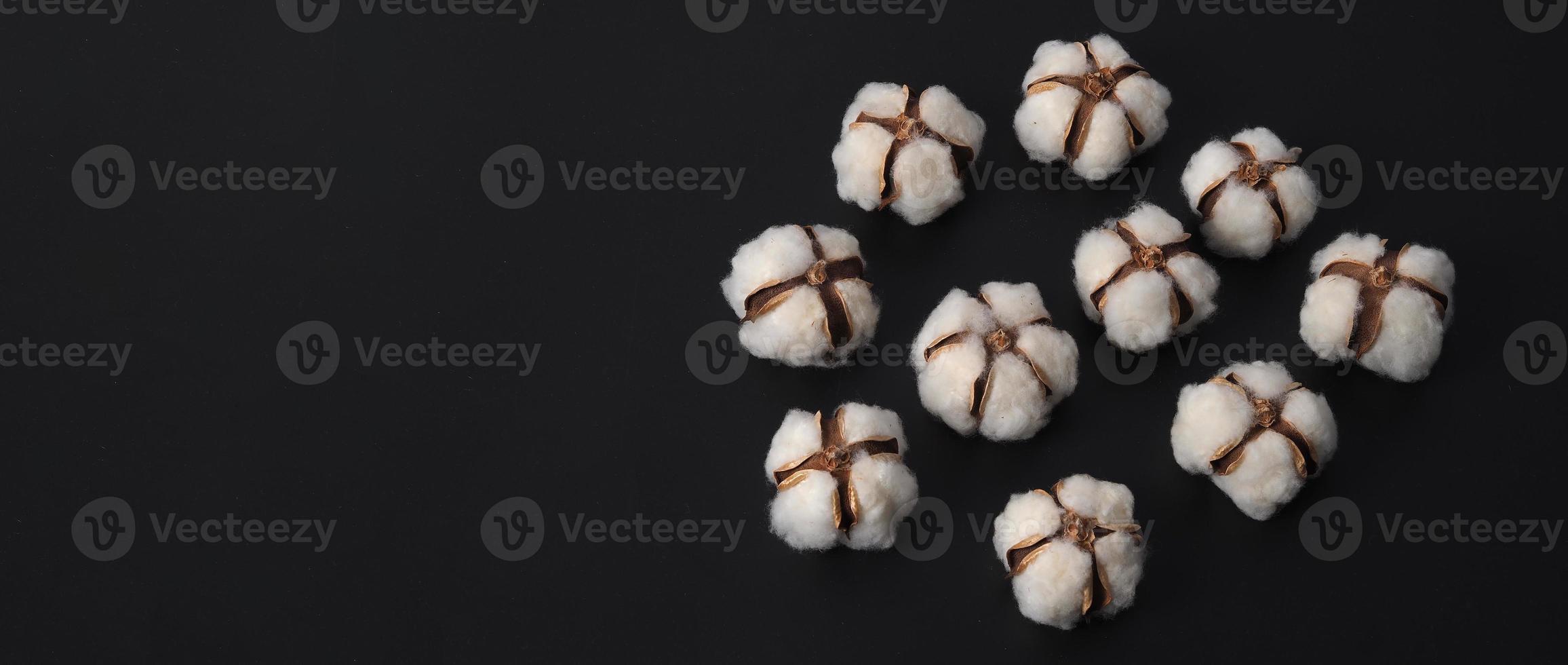 Cotton flowers isolated on black background. photo