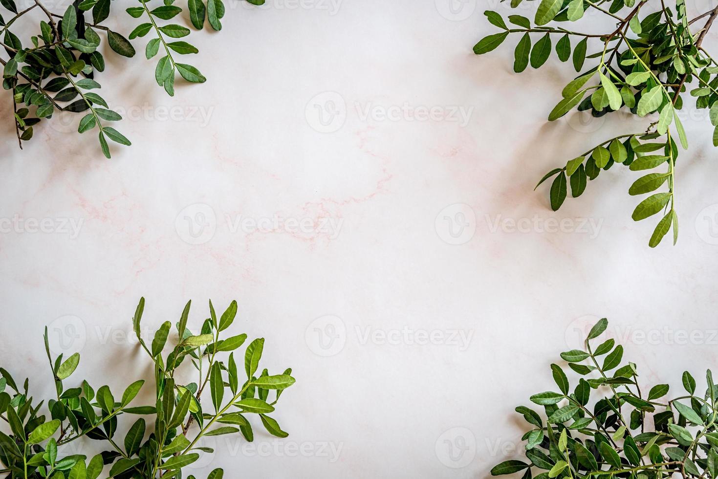 frame with green leaves on marble background with copyspace photo