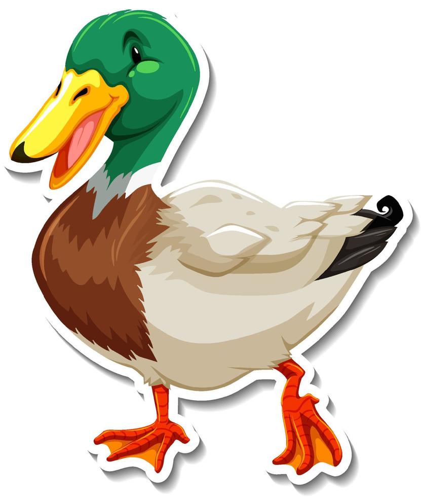 Duck animal farm animal cartoon sticker vector